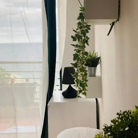 Apartment Wilga - Whole *